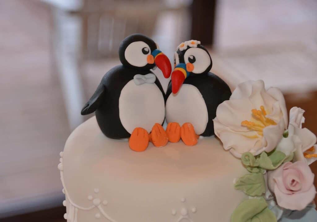 An Icelandic inspired wedding cake with puffins