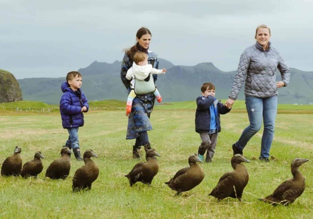 Two women and three small kids walk beside a row of geese in the Icelandic countryside.