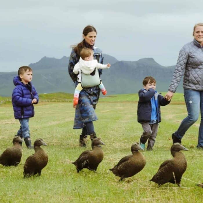 Two women and three small kids walk beside a row of geese in the Icelandic countryside.