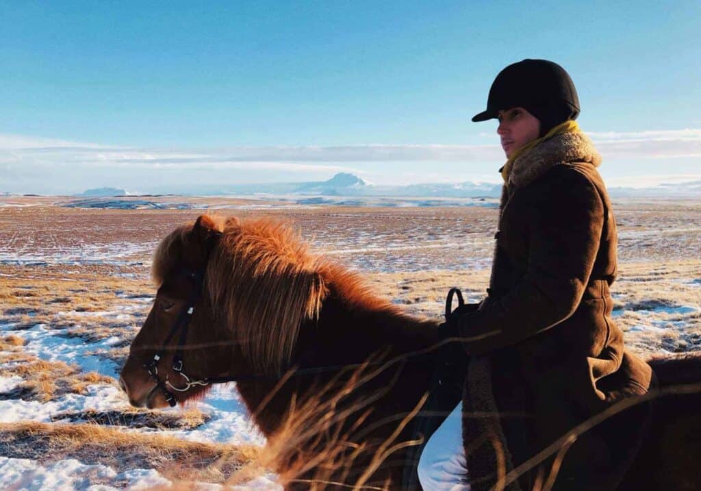 A man riding an Icelandic horse at winter.