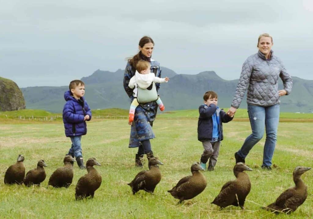 Five take a flight family in Iceland.