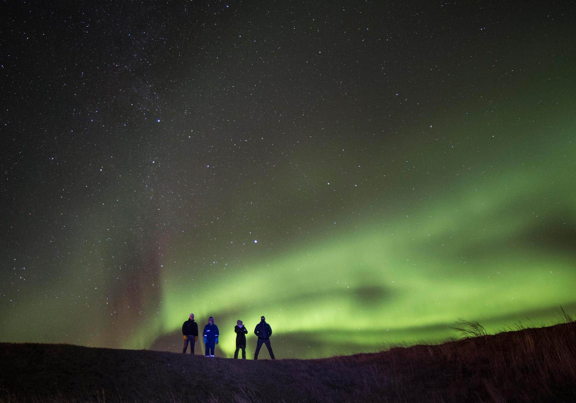 Four people stand underneath the night sky filled with green northern lights and stars.