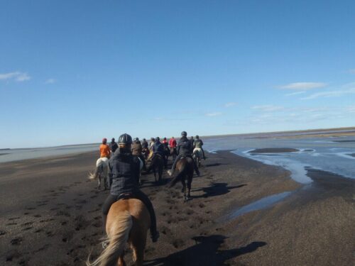 Group of riders on horseback traveling across a black sand beach on a sunny, summer day.