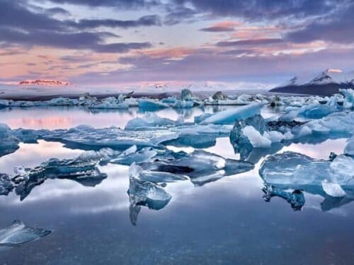 Jökulsárlón glacier lagoon covered in floating pieces of icebergs that have broken off from the glacier.