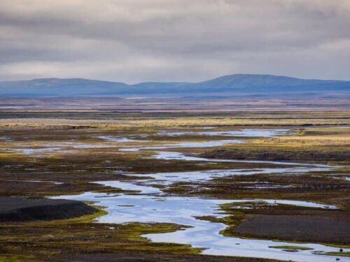 The wetlands in Þjórsárver with distant views of mountains in the background.