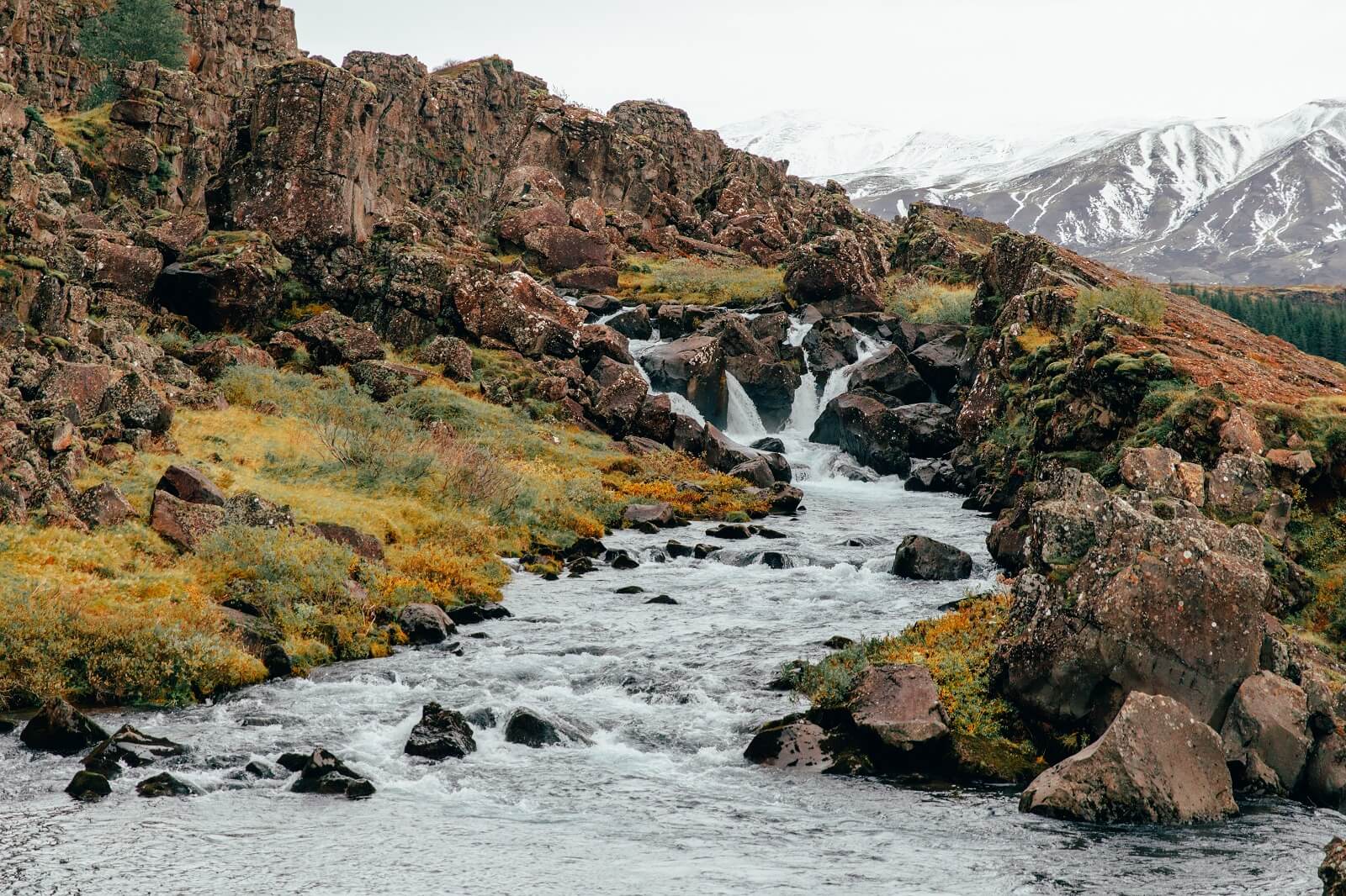 A stream tumbles over boulders in Þingvellir National Park in south Iceland.