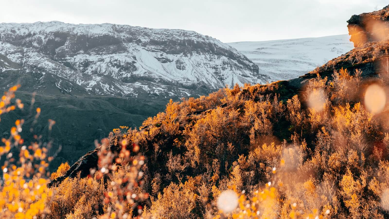 Fall colors Travel in South Iceland