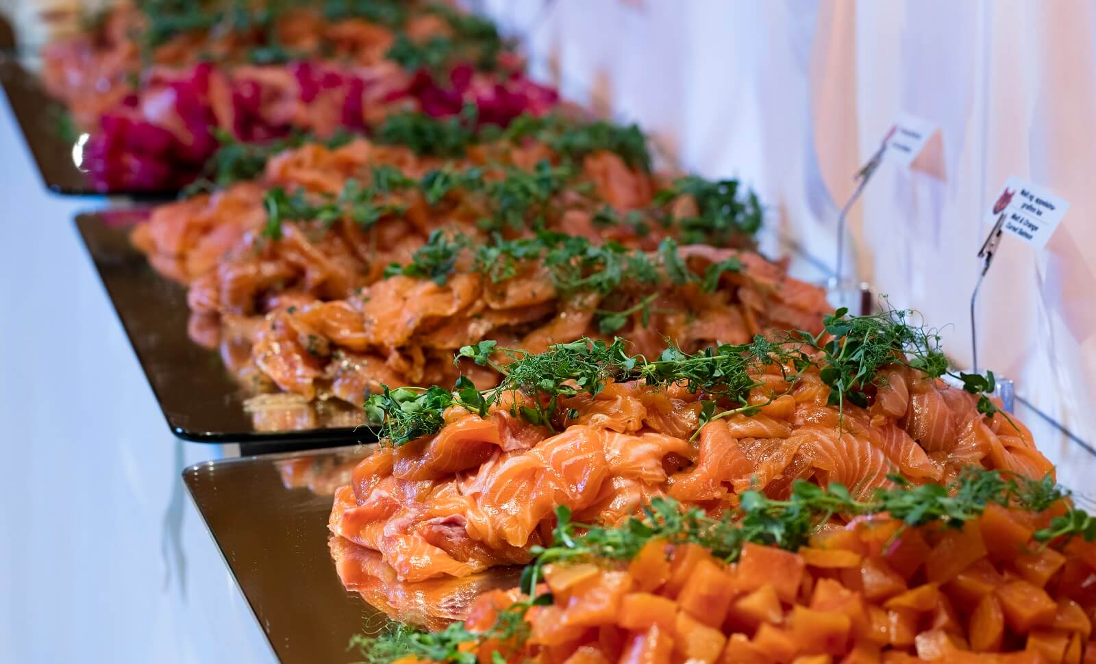 Piles of gravlax or cured salmon decorated with fresh herbs.